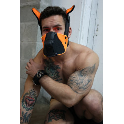 Breedwell Masque Poundtown Pup Breedwell Noir-Orange